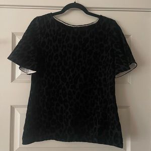 Ann Taylor Blouse